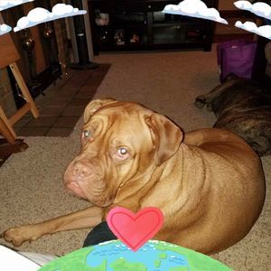 Meet your Posher, Wendy